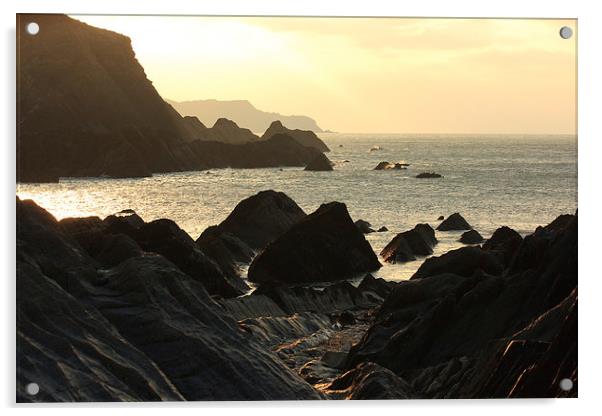 The Rocky North Devon Coast Acrylic by David Morton