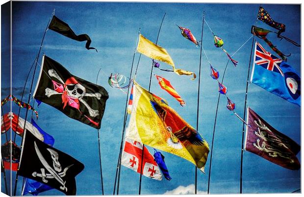 Flags Canvas Print by Scott Anderson