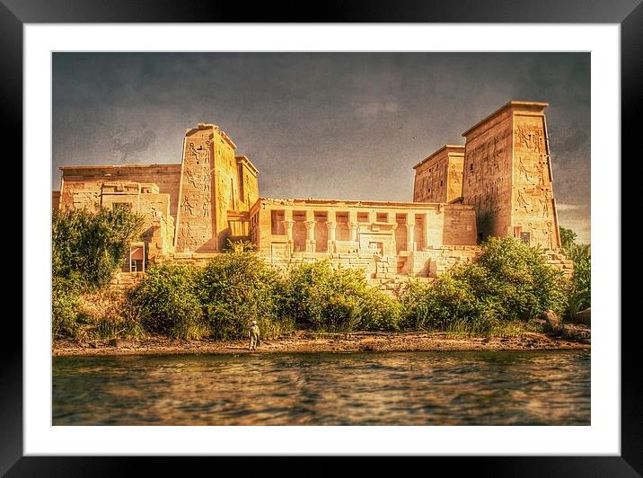 Egypt Framed Mounted Print by Scott Anderson