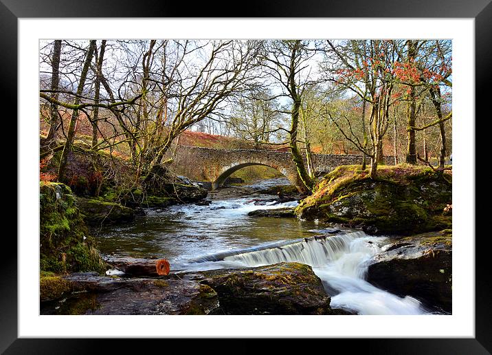 East Side Of Loch Earn,Scotland Framed Mounted Print by jim wilson