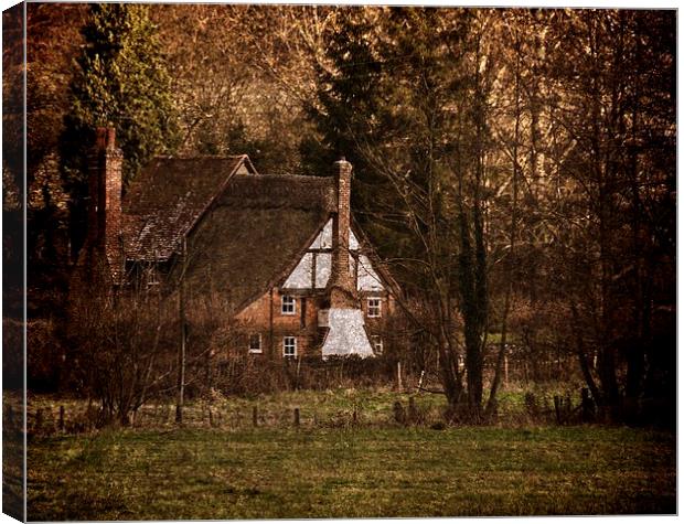 Cottage in the Woods Canvas Print by Ian Lewis