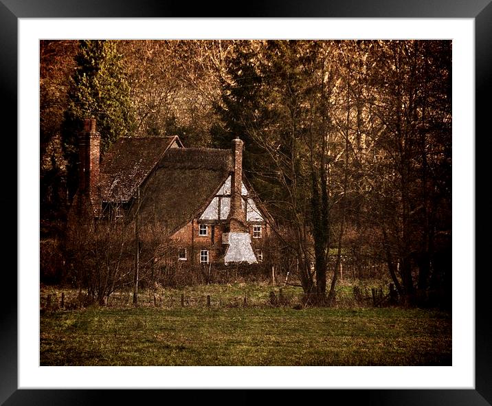 Cottage in the Woods Framed Mounted Print by Ian Lewis