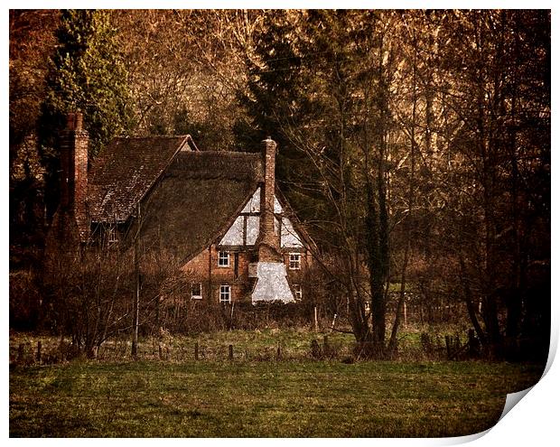 Cottage in the Woods Print by Ian Lewis