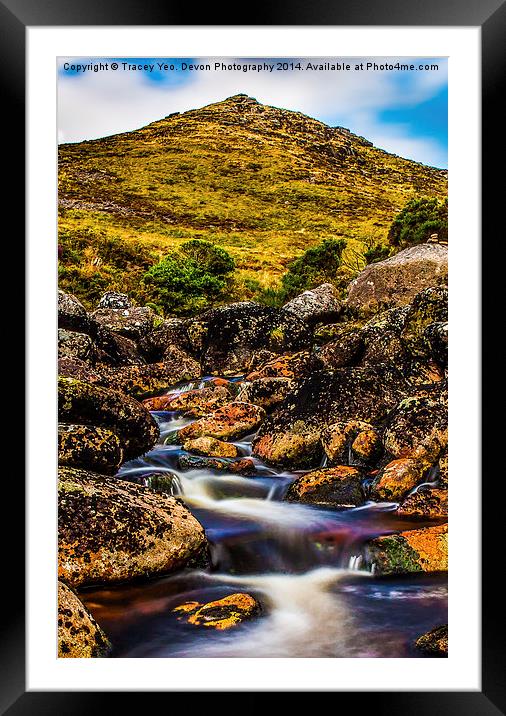 Tavy Cleave Framed Mounted Print by Tracey Yeo