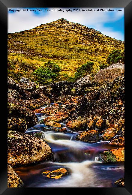 Tavy Cleave Framed Print by Tracey Yeo