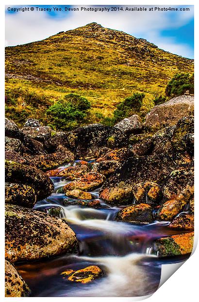 Tavy Cleave Print by Tracey Yeo