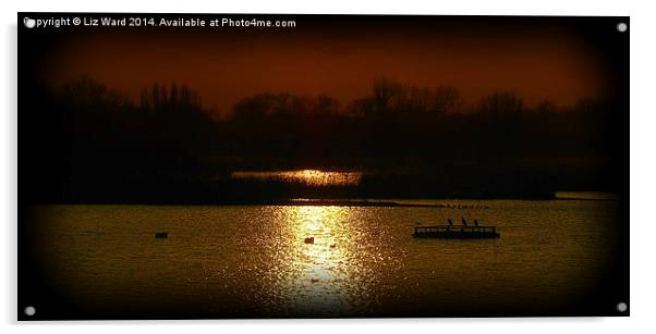 On Golden Pond Acrylic by Liz Ward