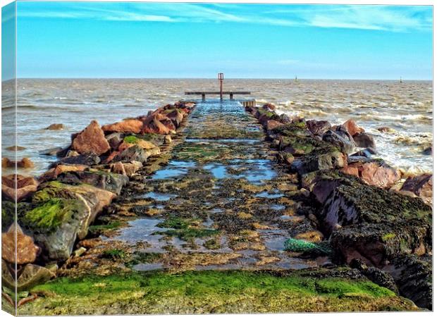 Ness Point Canvas Print by chrissy woodhouse
