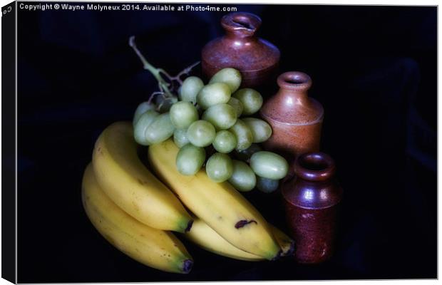 Fruits & Stone Jars Canvas Print by Wayne Molyneux