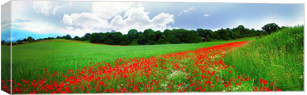 Poppy Field Canvas Print by Victoria Bowie