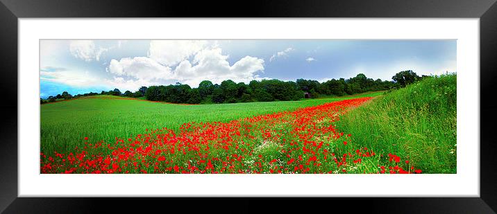 Poppy Field Framed Mounted Print by Victoria Bowie
