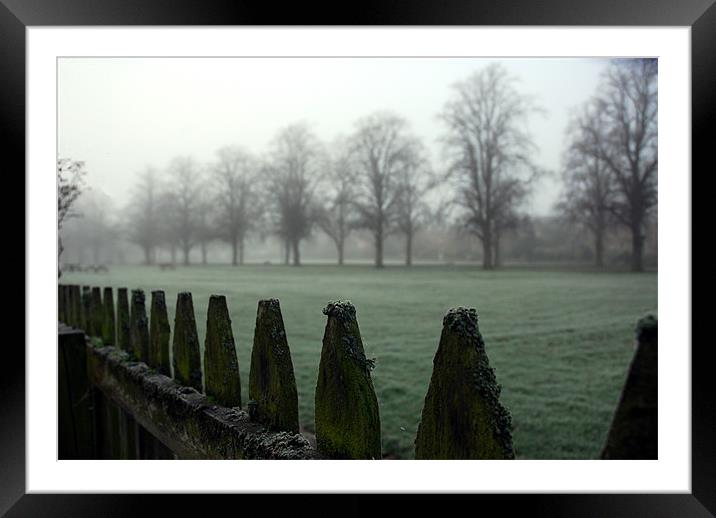 Misty Fence Framed Mounted Print by Lisa Shotton