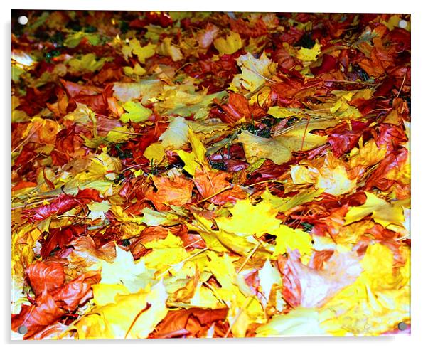 Autume Leaves Acrylic by Sarah Griffiths