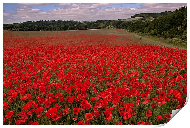 Red for Remembrance Print by Dawn Cox