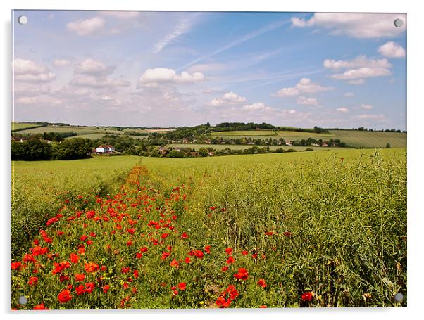 Kent landscape Acrylic by Dawn Cox
