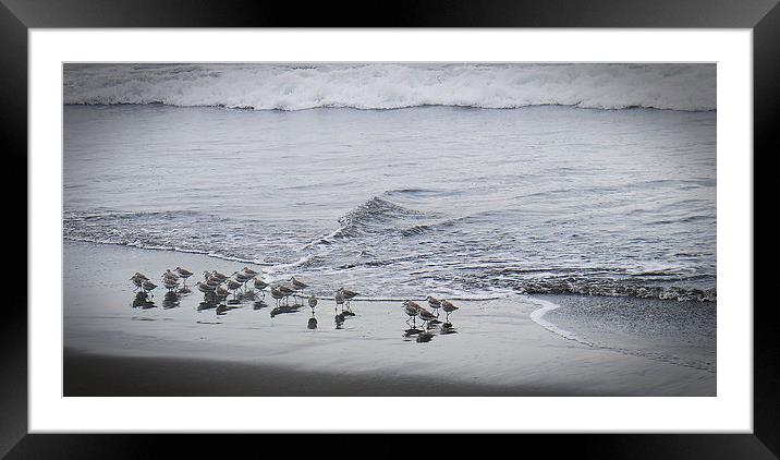 Sea waders Framed Mounted Print by Laura Kenny