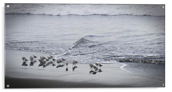 Sea waders Acrylic by Laura Kenny