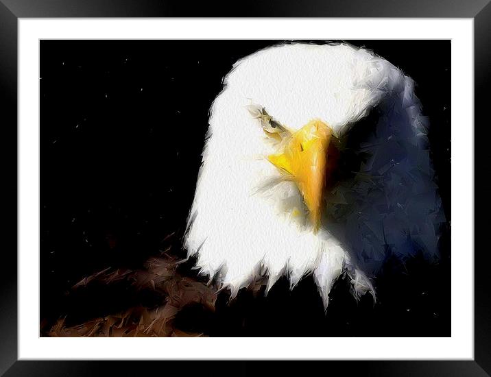 Eagle Framed Mounted Print by Brian  Raggatt