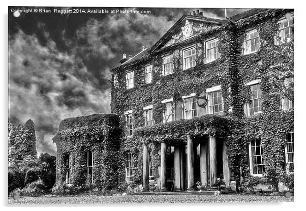Manor House BW Acrylic by Brian  Raggatt