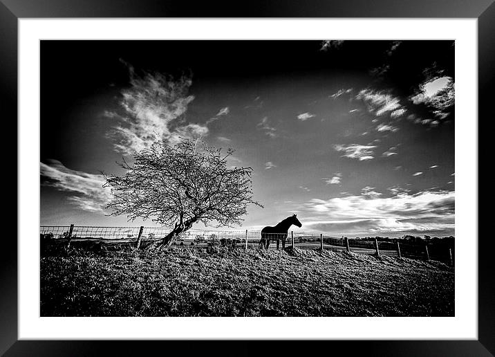 Waiting Framed Mounted Print by Mike Janik