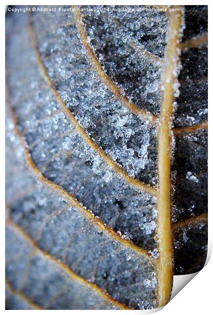 Ice Crystals on leaf Print by Abstract  Fractal Fantasy
