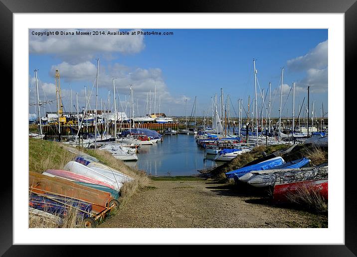 Tollesbury Marina Framed Mounted Print by Diana Mower