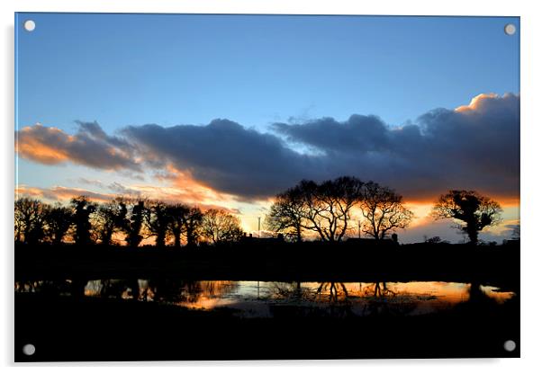 Sunset Reflection Acrylic by Shaun Cope