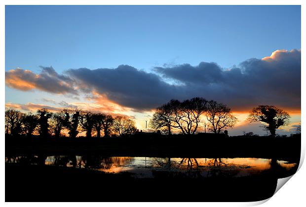 Sunset Reflection Print by Shaun Cope