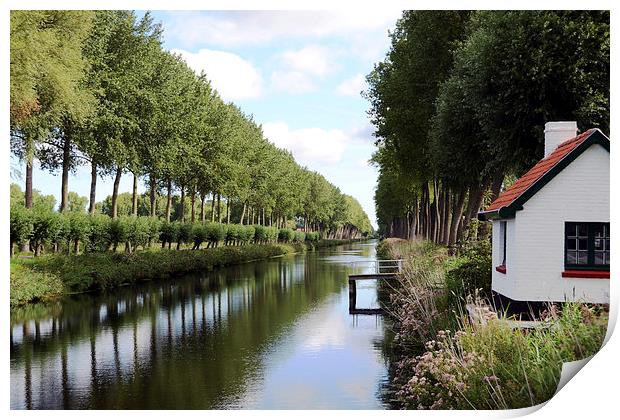 Damme Canal Print by Carolyn Eaton