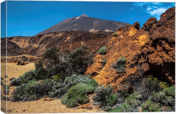 Mount Teide, Tenerife(4) Canvas Print by Geoff Storey