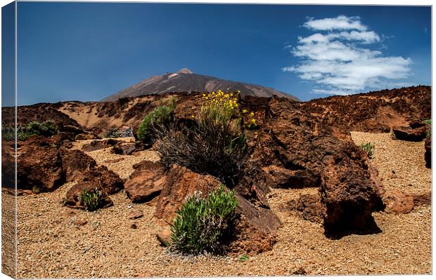 Mount Teide, Tenerife(5) Canvas Print by Geoff Storey
