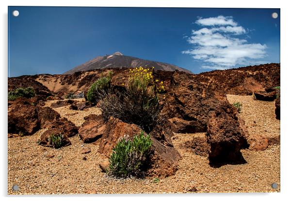 Mount Teide, Tenerife(5) Acrylic by Geoff Storey