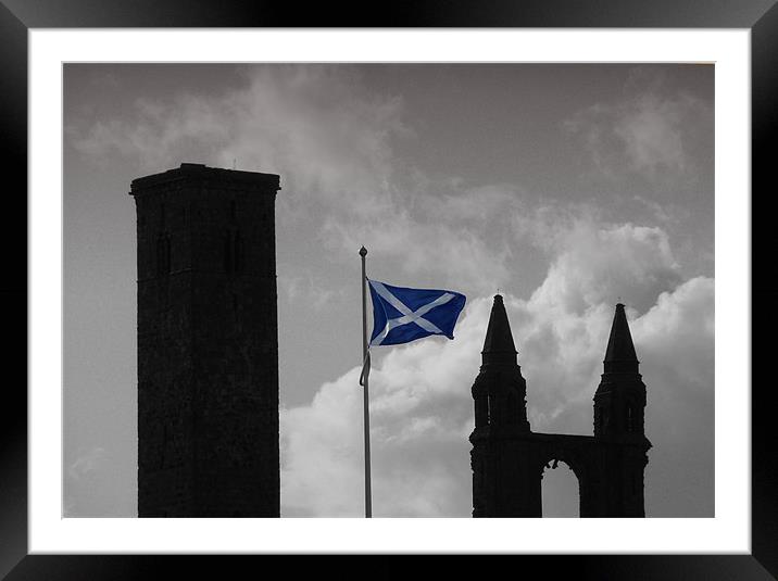 Flying the flag Framed Mounted Print by Timothy Hall