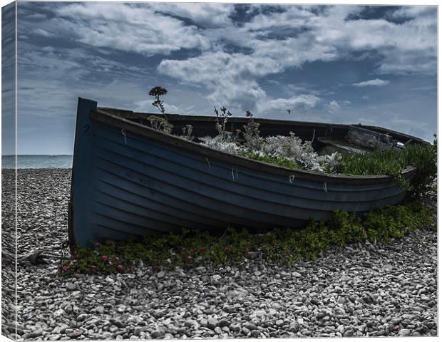 Beached Canvas Print by Darryl Harrison