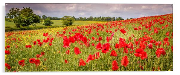Field of Poppies, Hungerford, Berkshire, England,  Acrylic by Mark Llewellyn