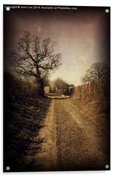 Turkey Lane, Edgefield 6 Acrylic by Julie Coe