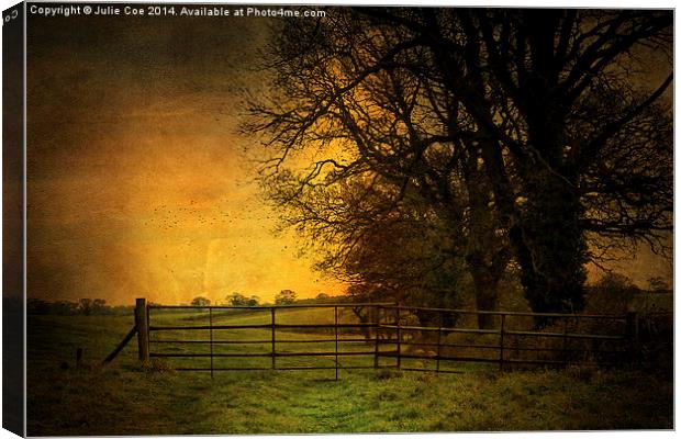 Norfolk Countryside 6 Canvas Print by Julie Coe