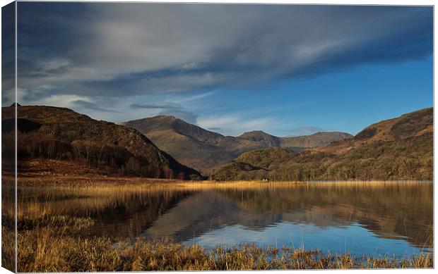 Llyn Dinas Canvas Print by Rory Trappe