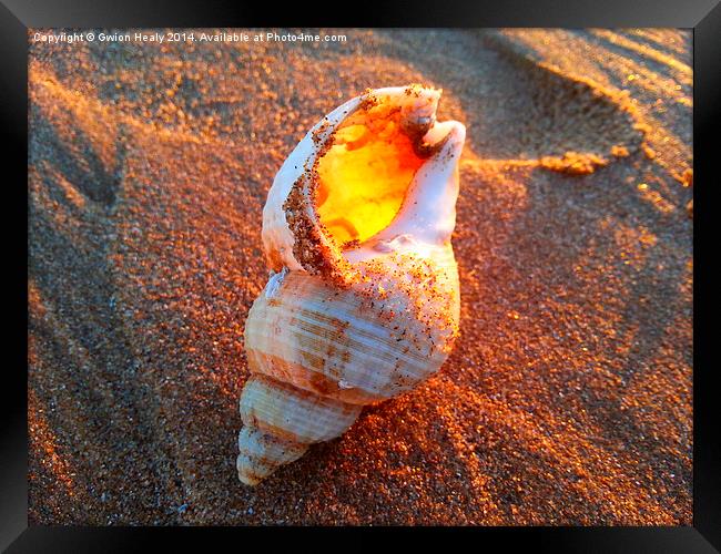 Sun fire Seashell Framed Print by Gwion Healy