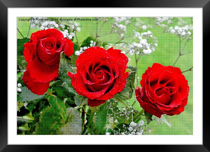 Artwork of Red Hybrid Tea roses Framed Mounted Print by Frank Irwin