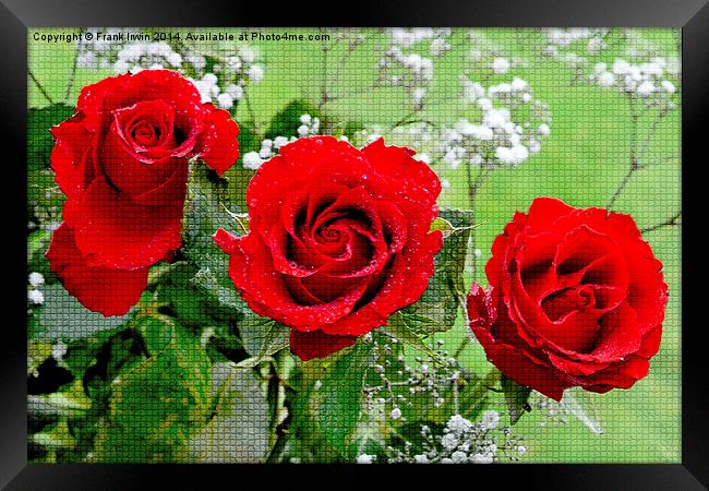 Artwork of Red Hybrid Tea roses Framed Print by Frank Irwin