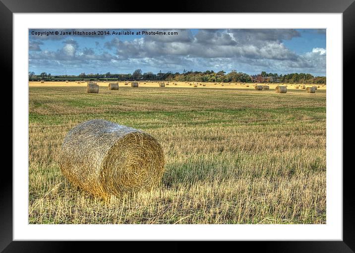 Hay at Harvest Framed Mounted Print by Jane Hitchcock
