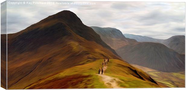 Catbells Canvas Print by Ray Pritchard
