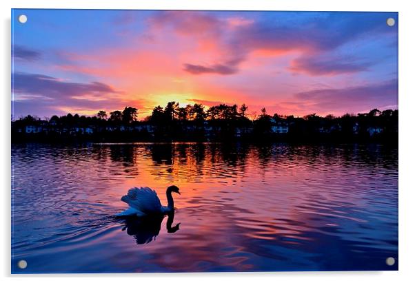 Sunset over Roath Park Lake Acrylic by Paula J James