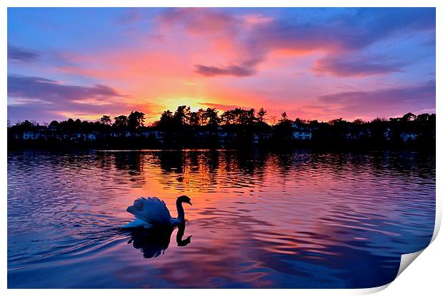 Sunset over Roath Park Lake Print by Paula J James