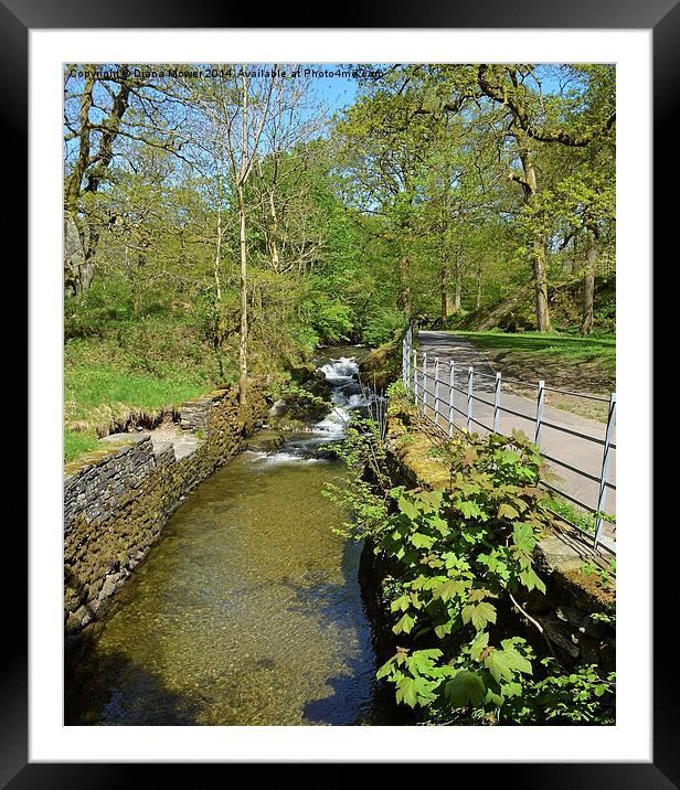 Ambleside Walk Framed Mounted Print by Diana Mower