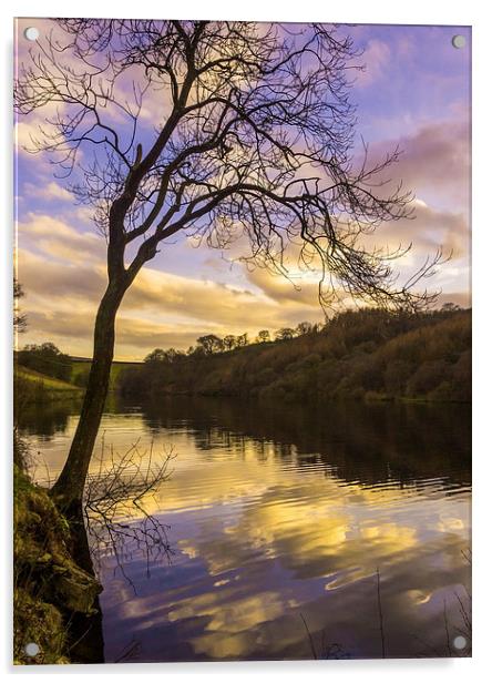 Goyt Valley Acrylic by Laura Kenny