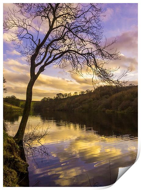 Goyt Valley Print by Laura Kenny