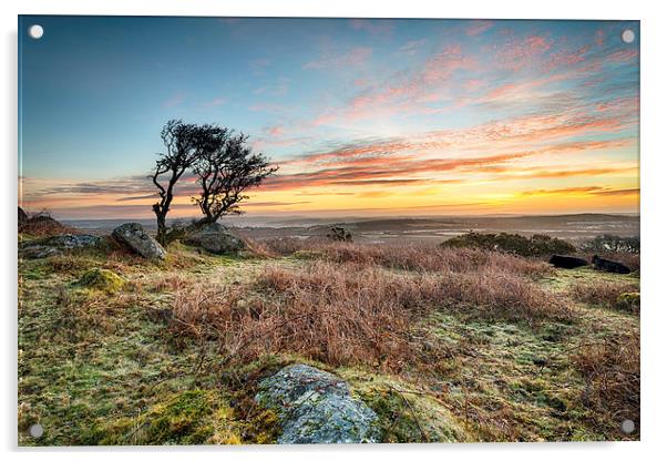 Frosty Sunrise at Helman Tor Acrylic by Helen Hotson