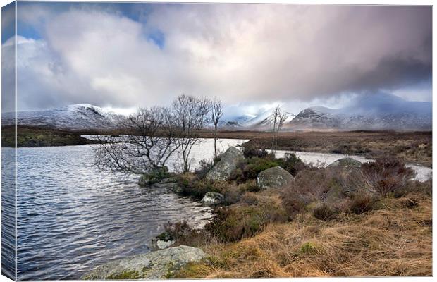 Lochan n h-achlaise Canvas Print by Neil Young